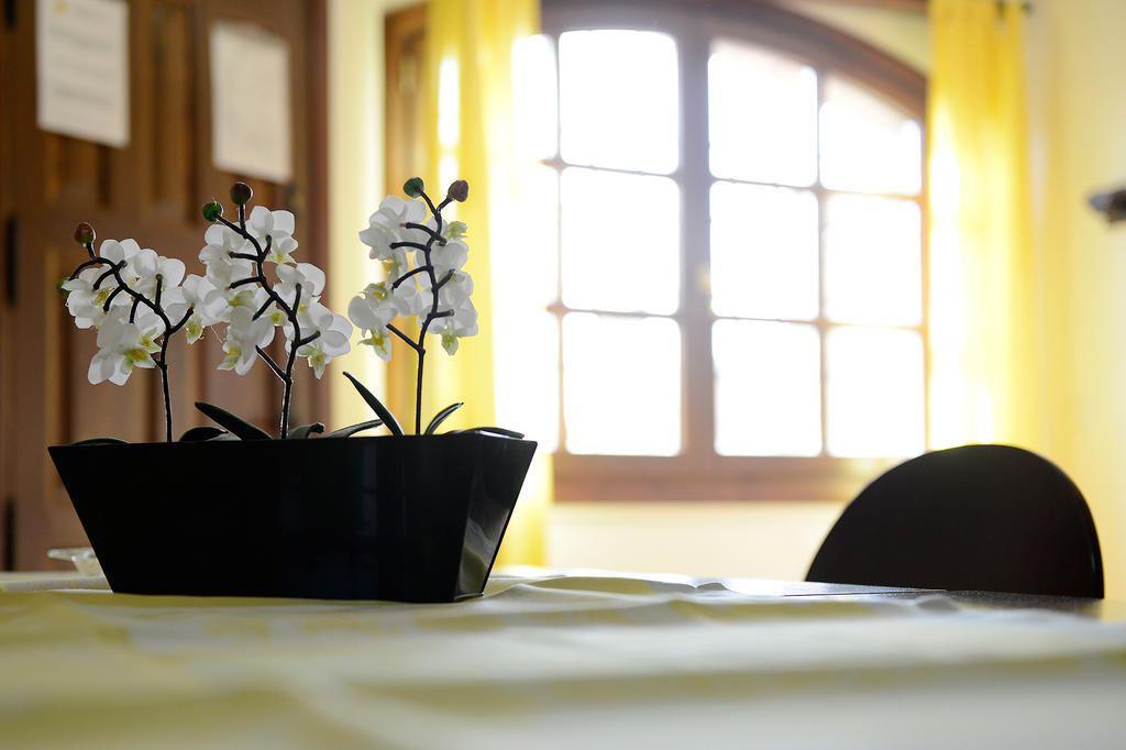 Apartamentos Bellavista Алькесар Номер фото